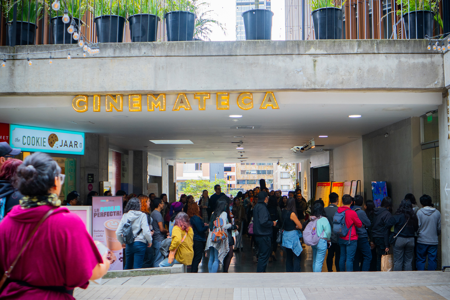 Taquilla