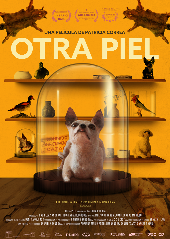 Afiche