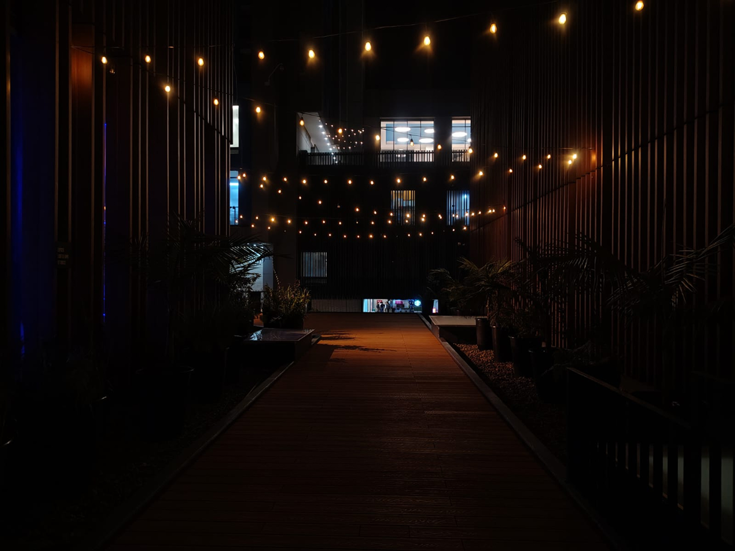 Terraza