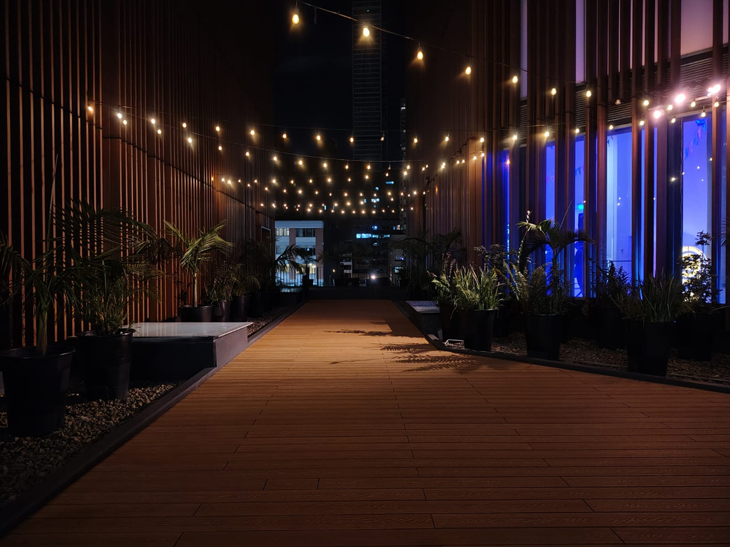 Terraza