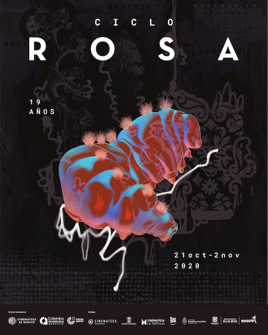 Ciclo Rosa 2020