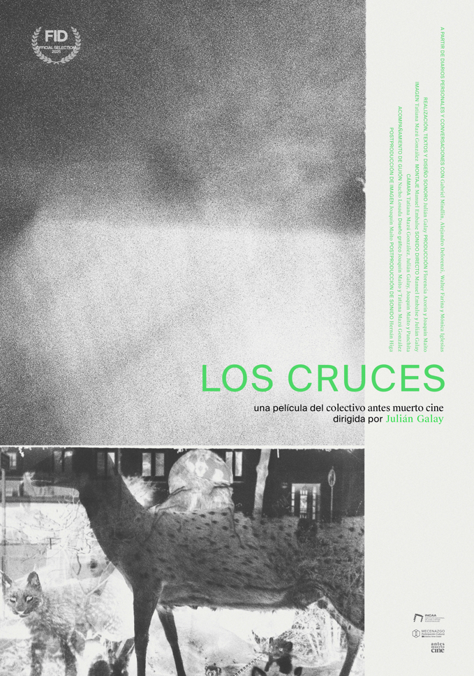 Afiche