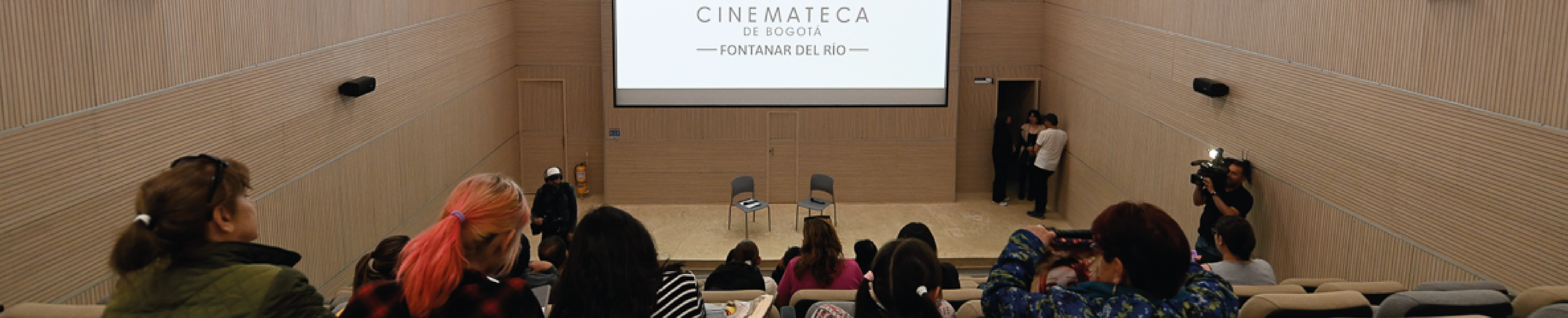 Cinematecas Locales