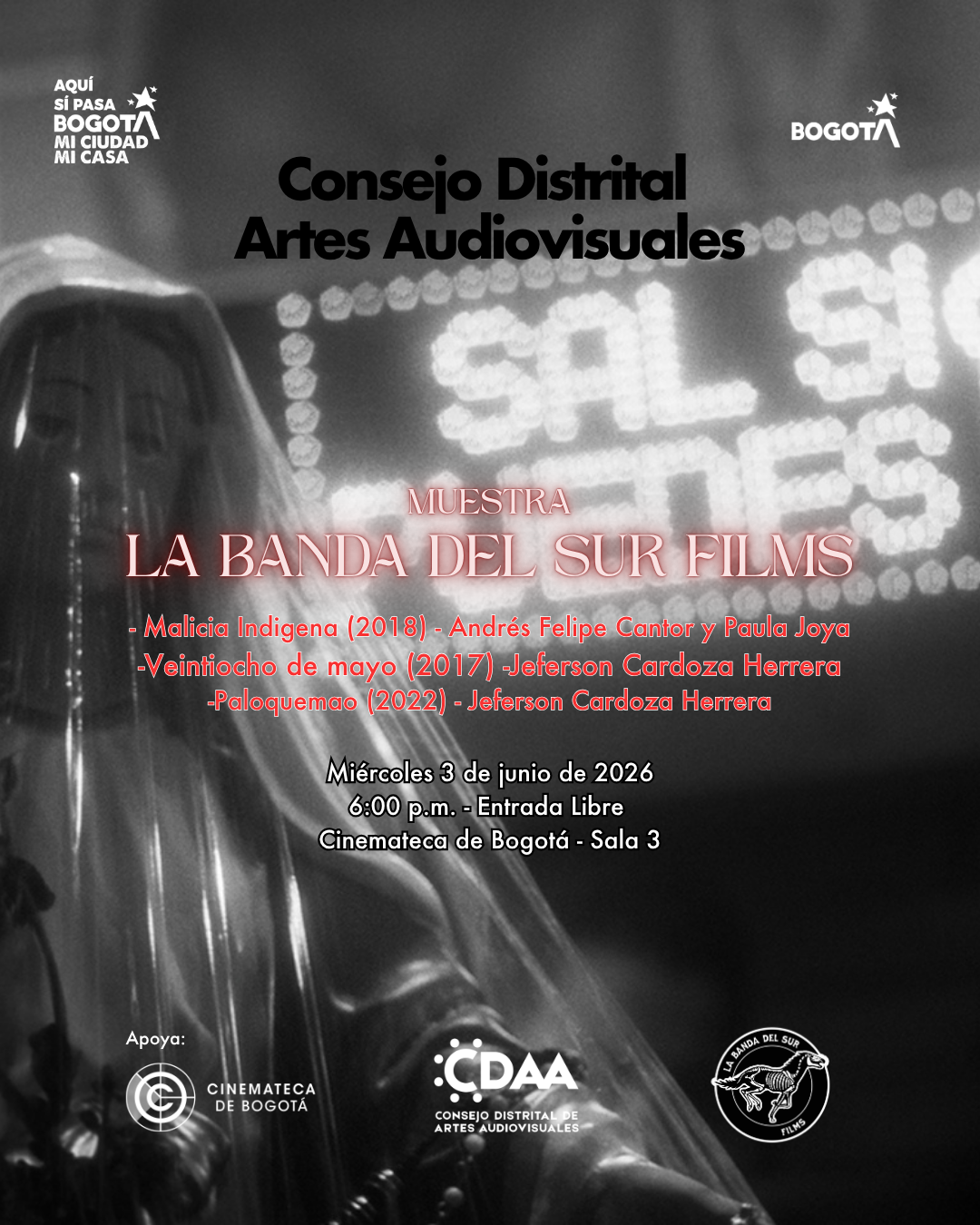 Poster La Bandan del Sur Fillms