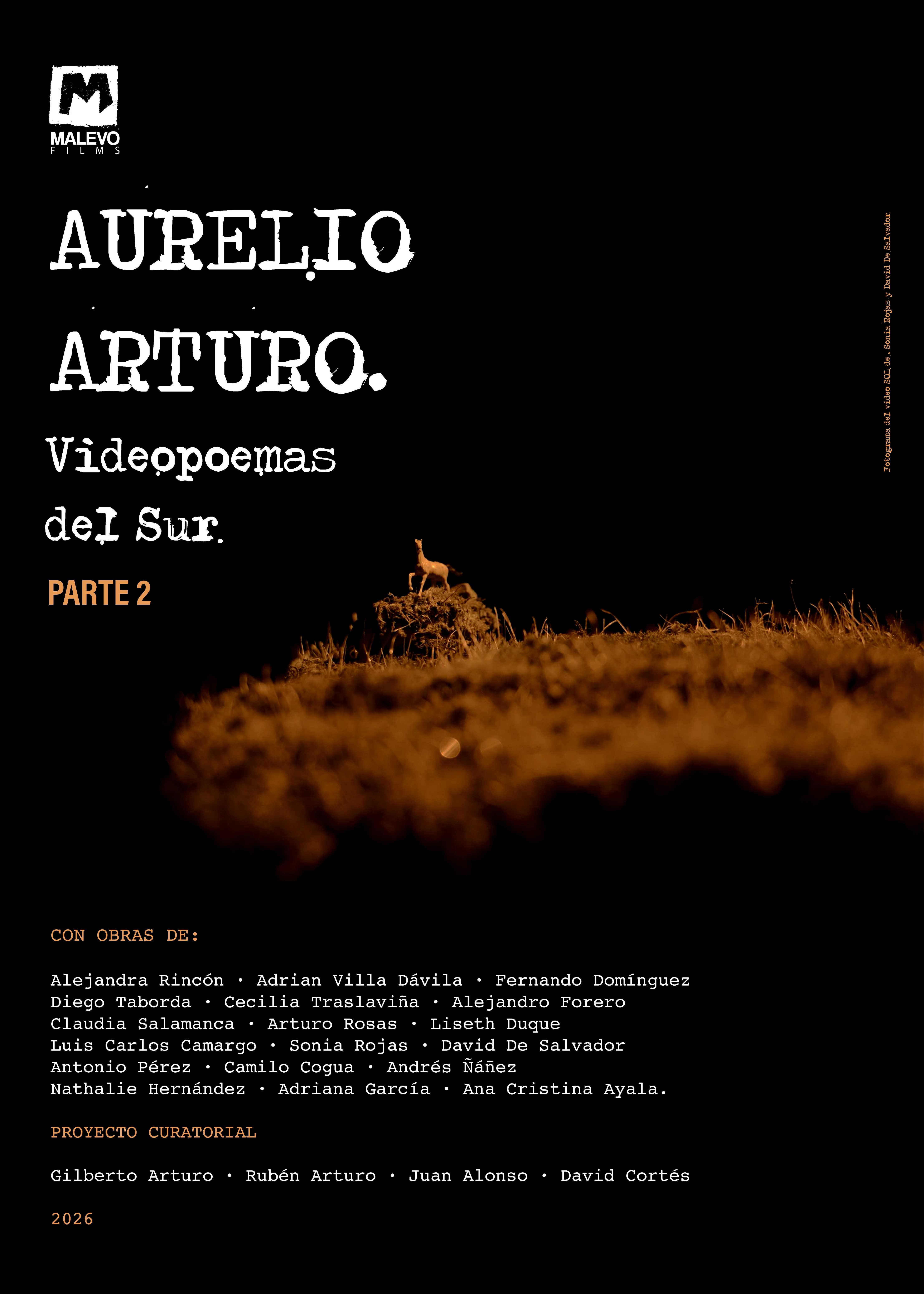 Poster VIDEOPOEMAS DEL SUR Parte 2