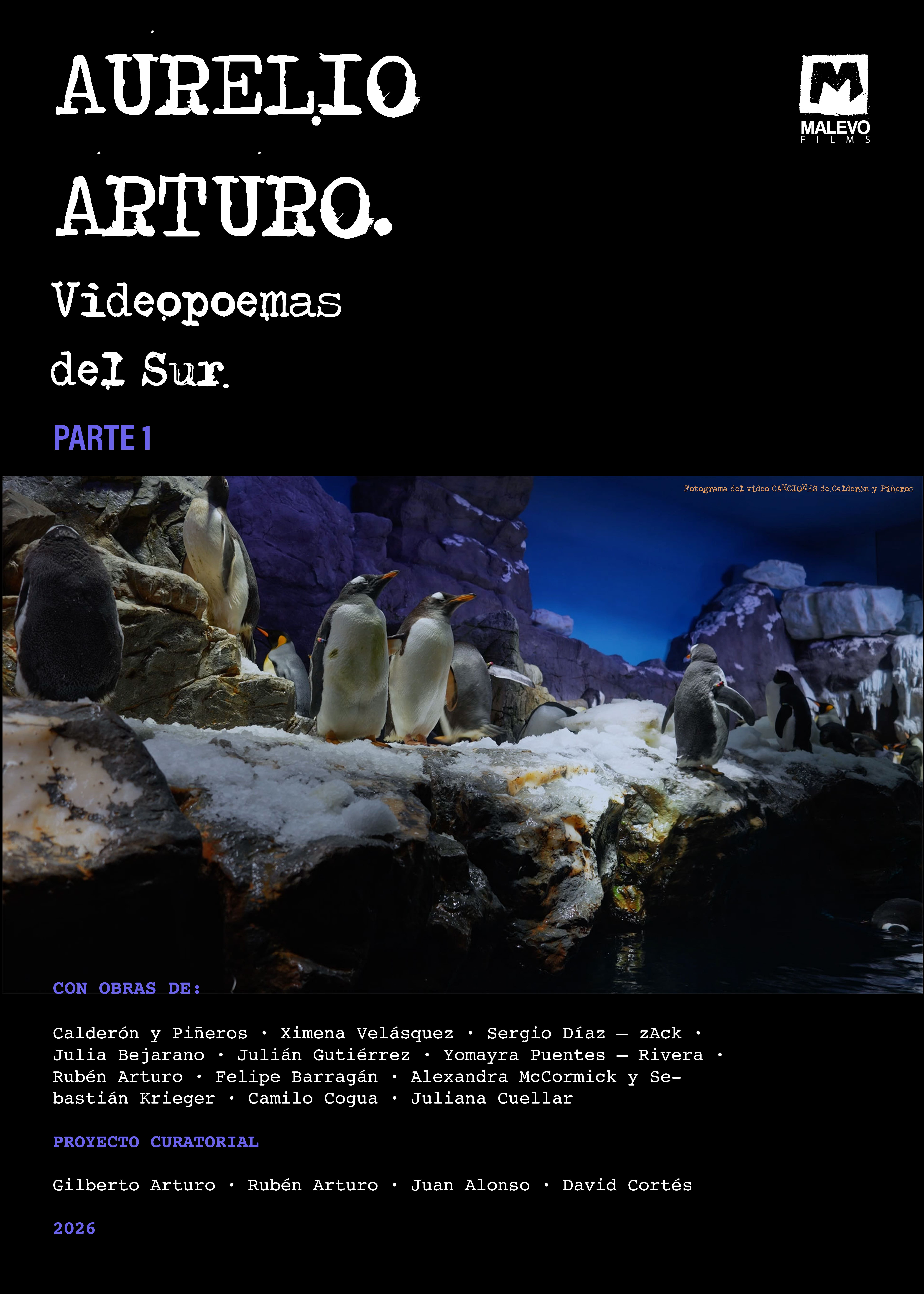 Poster VIDEOPOEMAS DEL SUR Parte 1