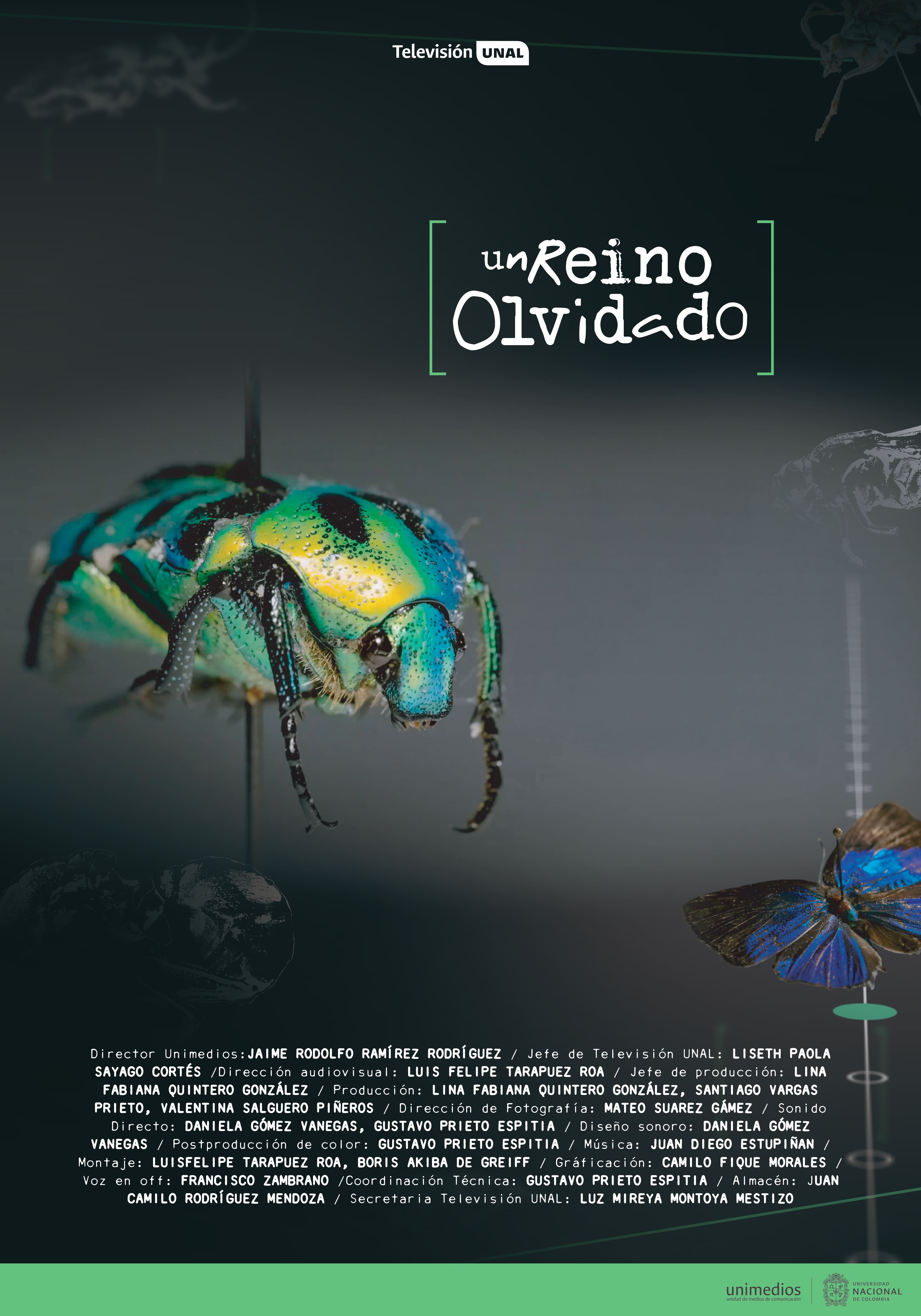Poster un Reino Olvidado