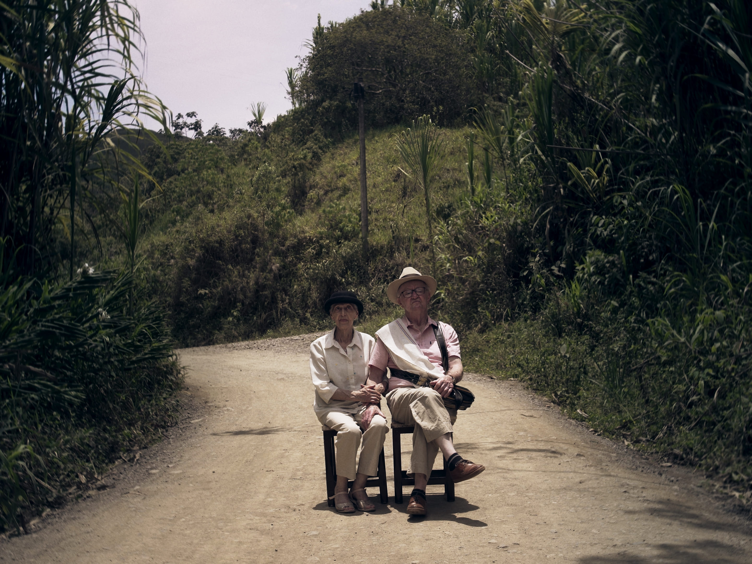 Still corto 
