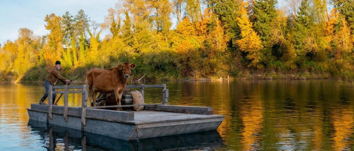 hombre en una balsa con una vaca 
