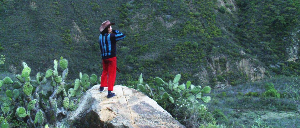 Cinemateca de Bogotá