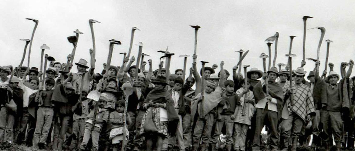 Película Campesinos