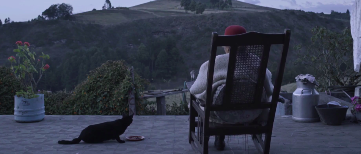 Mujer sentada en una mecedora con un gato mirando a las montañas 