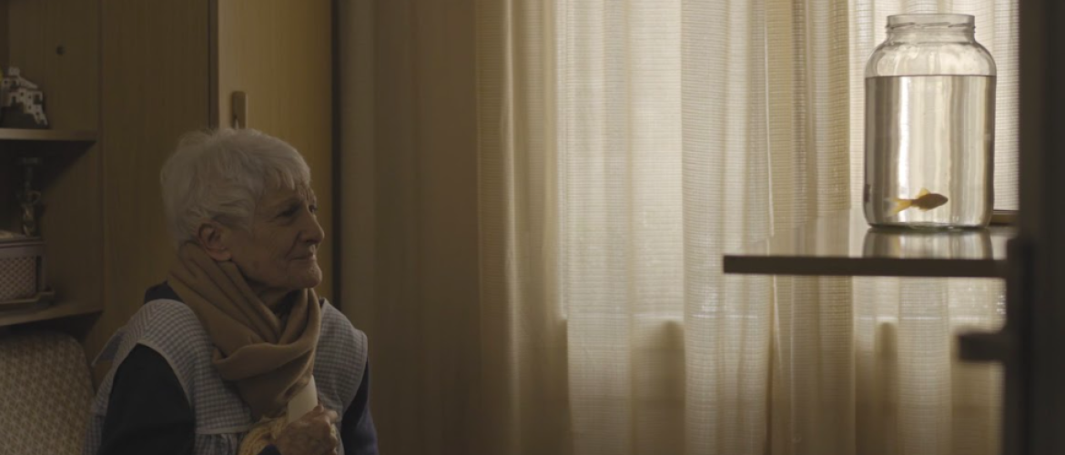 Señora sentada viendo un pez en un frasco