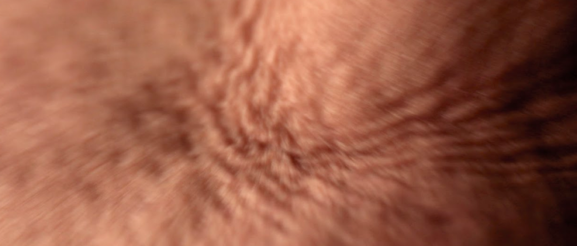 Exposición Mar Inicial Exposición Mar Inicial