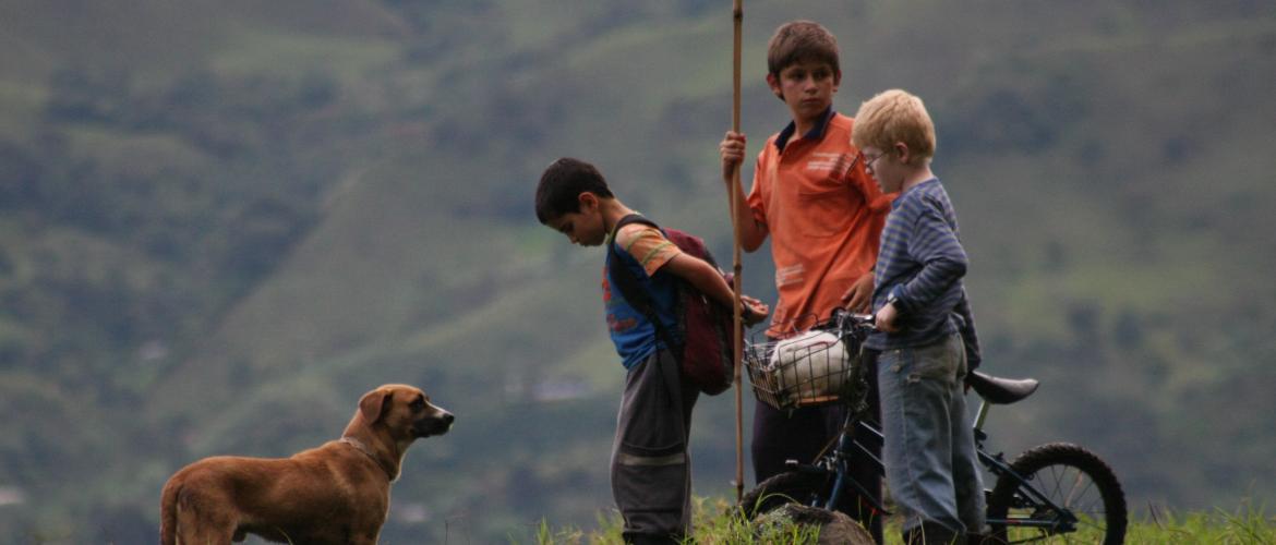 Los colores de la montaña