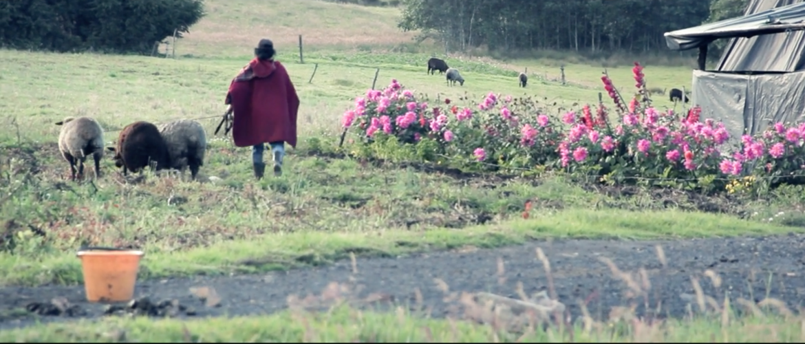 Cinemateca de Bogotá