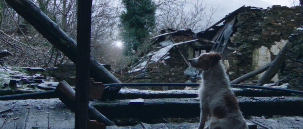 Foto película Trinta Lumes