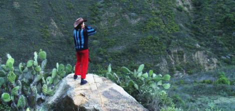 Cinemateca de Bogotá