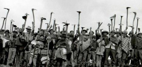 Película Campesinos