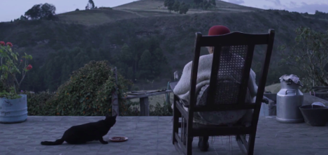 Mujer sentada en una mecedora con un gato mirando a las montañas 