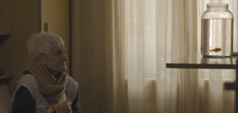 Señora sentada viendo un pez en un frasco