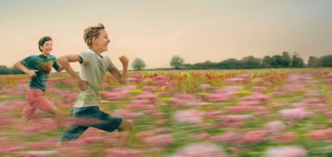 Película Close de Lukas Dhont Película Close de Lukas Dhont