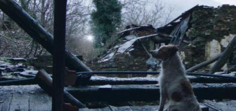 Foto película Trinta Lumes