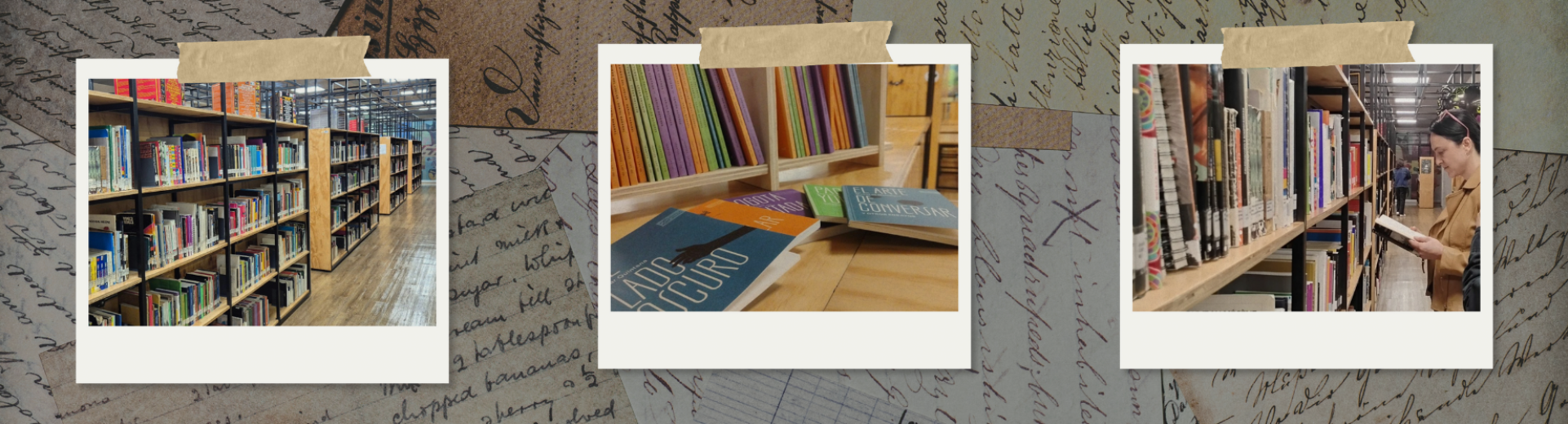 Biblioteca