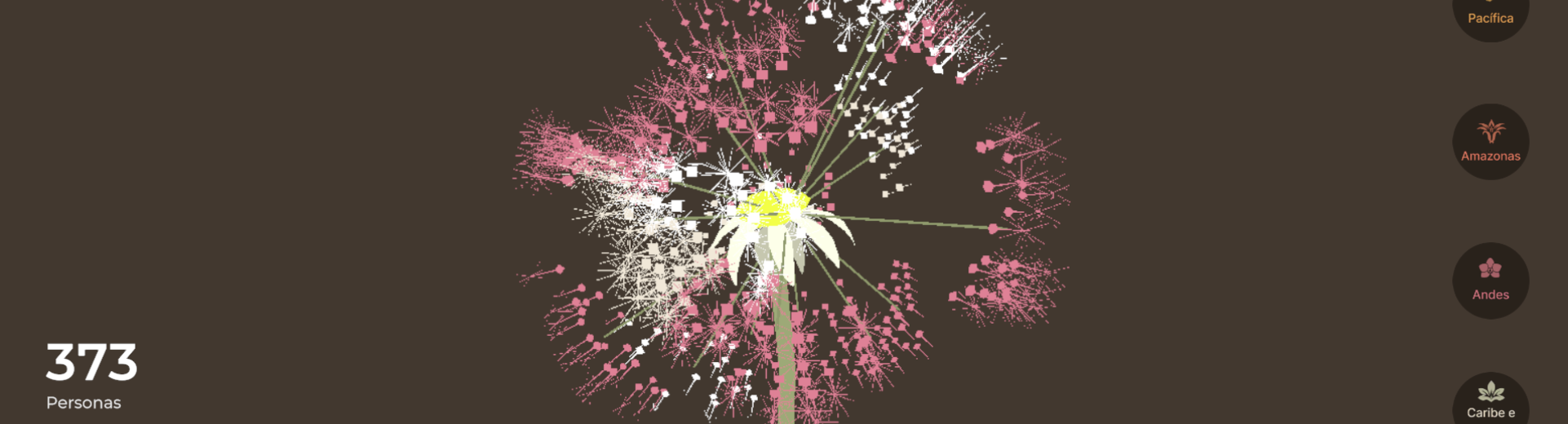 Visualización