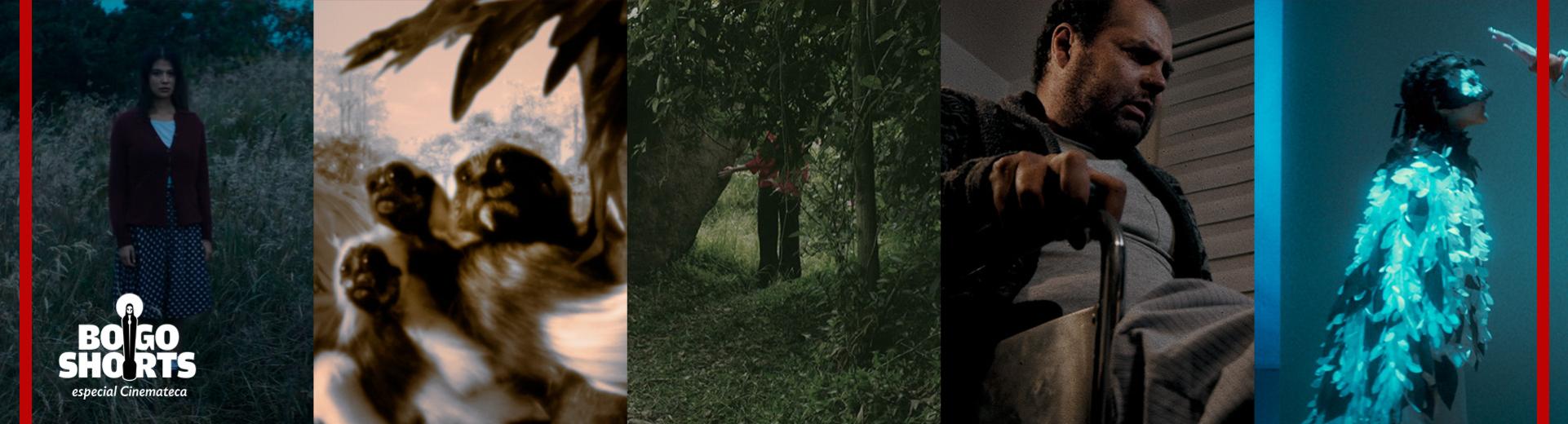 Imagen BOGOSHORTS Especial Cinemateca 113