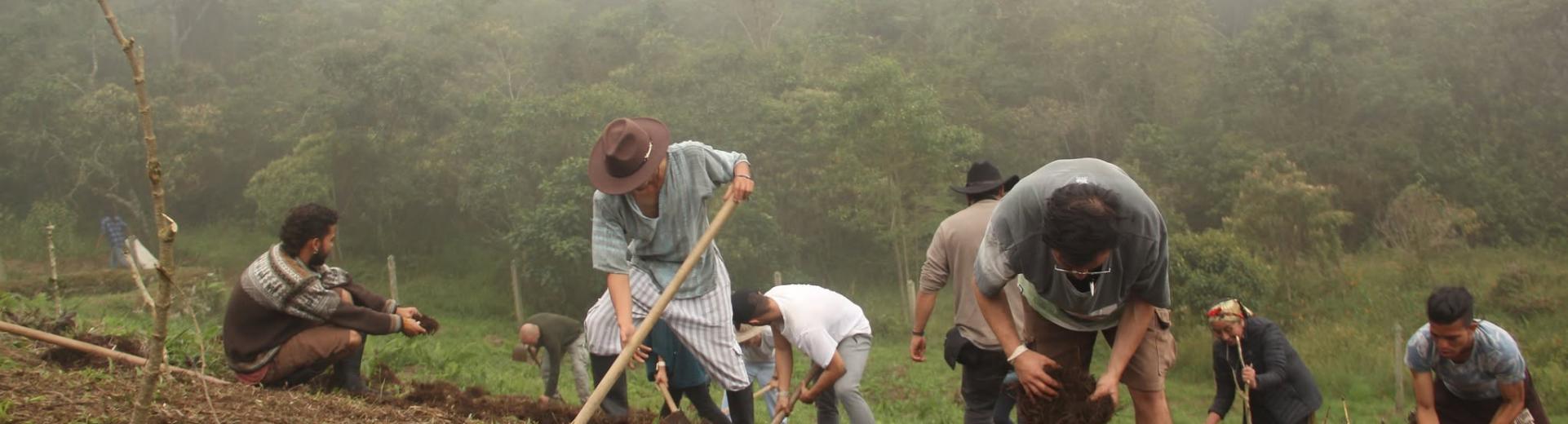 Stills ECOSÍNTESIS, 20 años de Cultura Regenerativa 