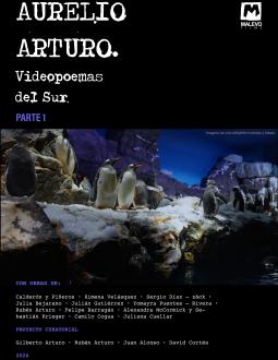 Poster VIDEOPOEMAS DEL SUR Parte 1