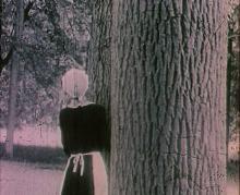 Imagen Tren de Sombras
