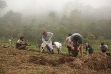 Stills ECOSÍNTESIS, 20 años de Cultura Regenerativa 