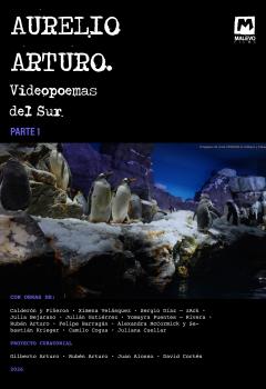Poster VIDEOPOEMAS DEL SUR Parte 1