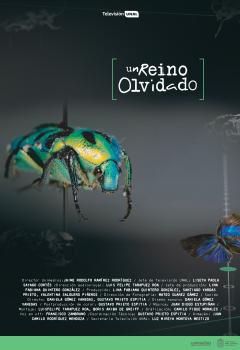 Poster un Reino Olvidado