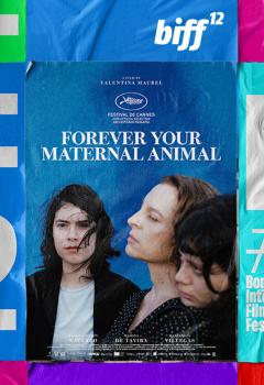 Siempre Soy Tu Animal Materno - BIFF